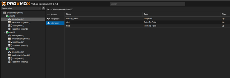 Fabric Mesh on node mesh1, Interfaces tab showing dummy_Mesh as Loopback and nic1 and nic2 as Point-To-Point, all Up
